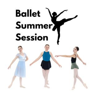 Copy of Beige Aesthetic Photography Mini Session Instagram Post 2