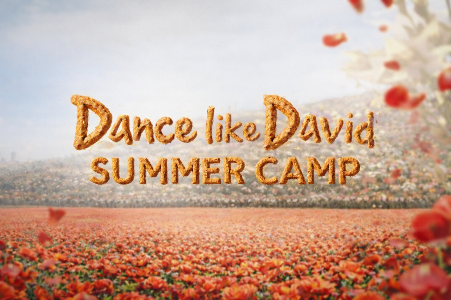 Dance Like David Summer camp
